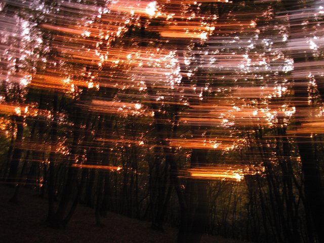 Original image